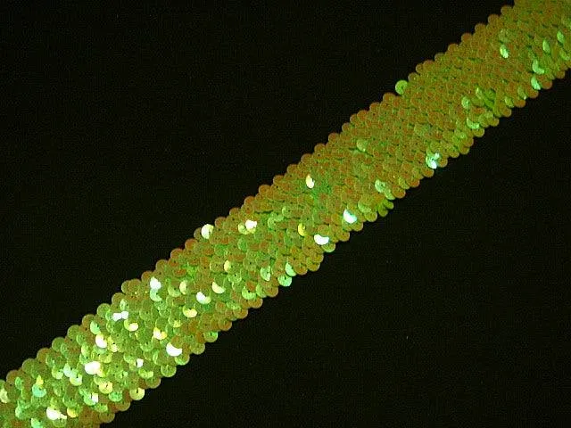 Elasticated Iridescent Sequinned Trim