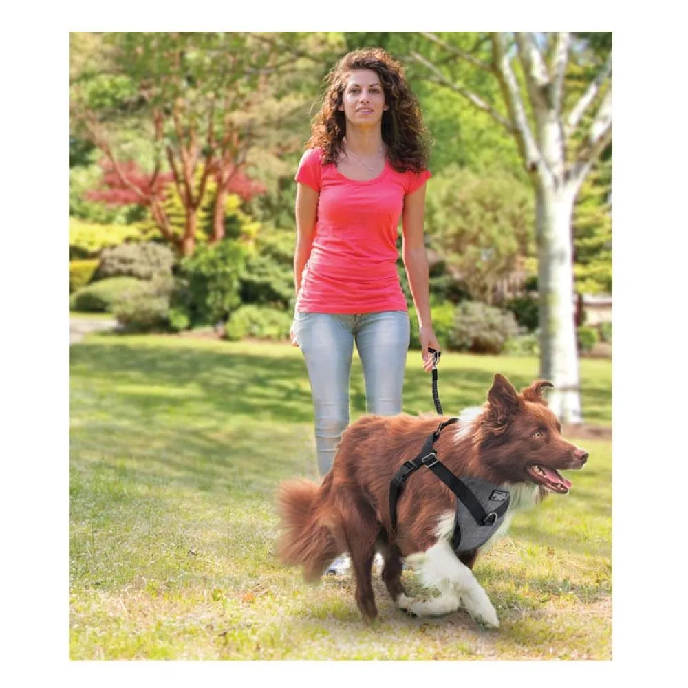 M Dog Harness 2 in 1 Combo - Car Travel Rides   Walks - No Pull Leash Seat Belt