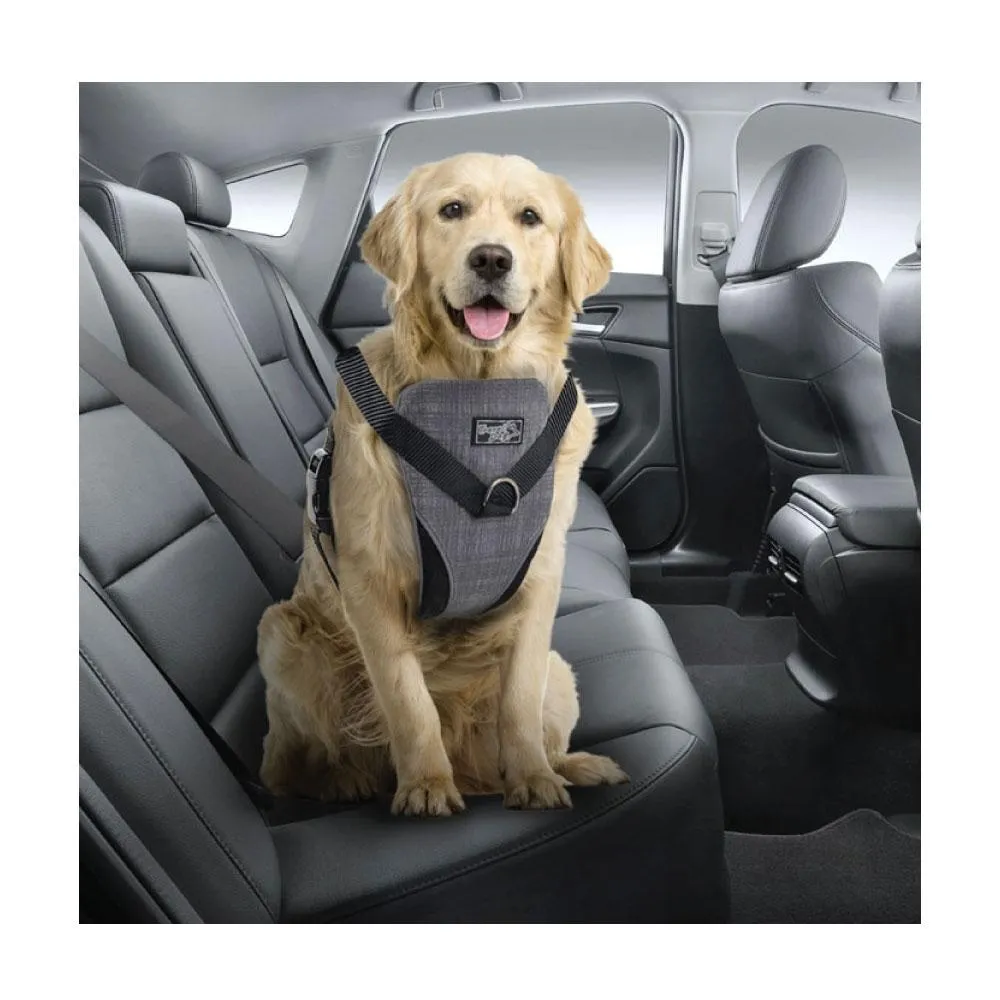 M Dog Harness 2 in 1 Combo - Car Travel Rides   Walks - No Pull Leash Seat Belt