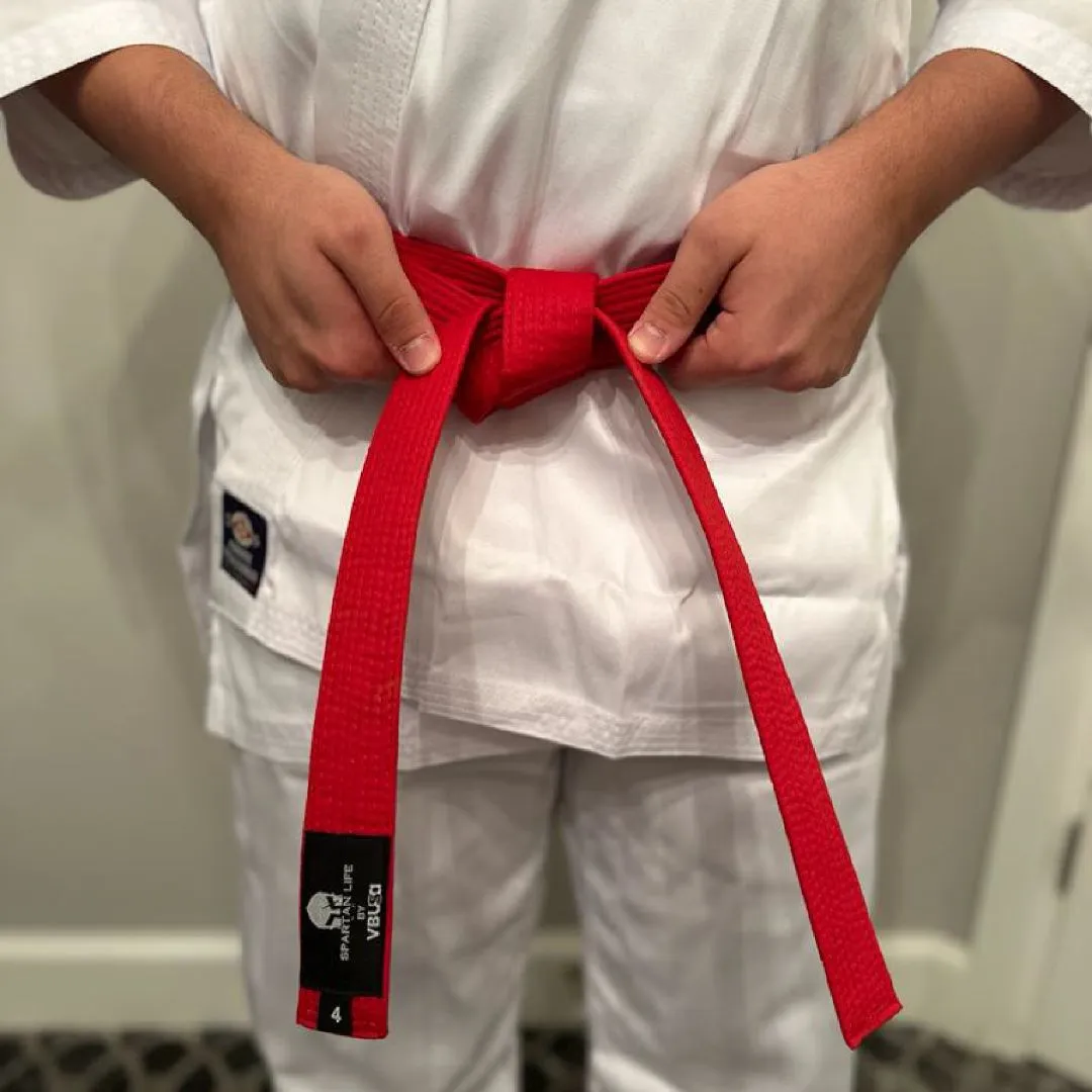 TAEKWONDO JUDO COLORFUL RANK KARATE BELTS | VICTOR BUDO USA