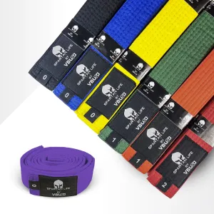 TAEKWONDO JUDO COLORFUL RANK KARATE BELTS | VICTOR BUDO USA