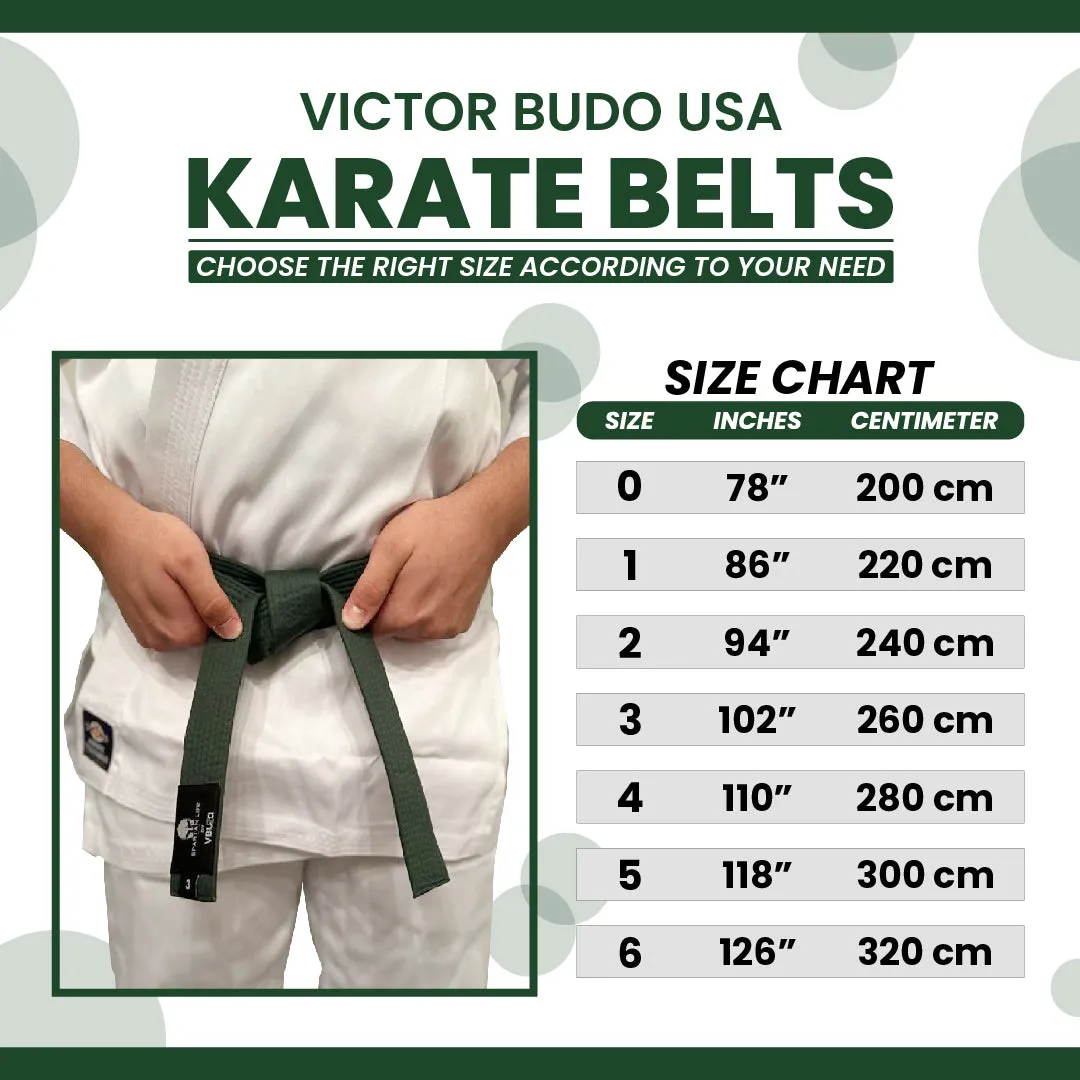 TAEKWONDO JUDO COLORFUL RANK KARATE BELTS | VICTOR BUDO USA